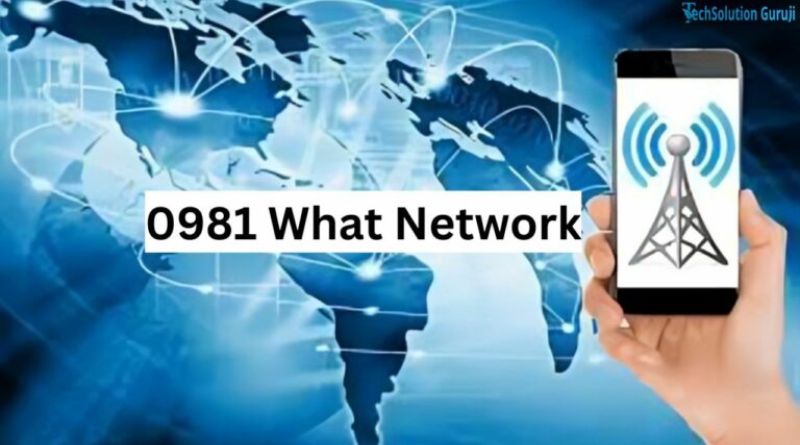 0981 What Network